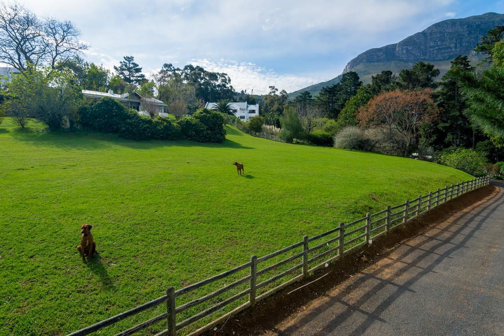 De Molen Guest House Somerset West Ngoại thất bức ảnh